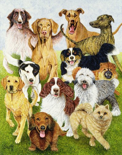 أيام الكلاب (زيت على قماش) بواسطة بات سكوت