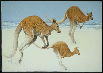 القفز إلى الأمام بواسطة بات سكوت