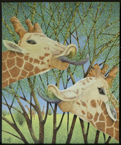 الحياة في القمة بواسطة بات سكوت