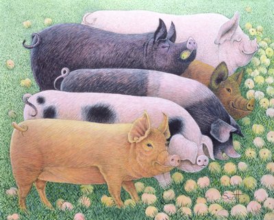 متعة خالصة (أكريليك على كاليكو) بواسطة بات سكوت