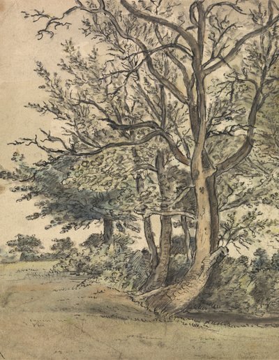 جزء من حديقة ريجنت بواسطة Patrick Nasmyth