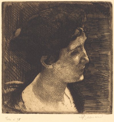 المرأة في الملف الشخصي الكبير للمرأة ، 1892. بواسطة بول ألبرت بيسنارد