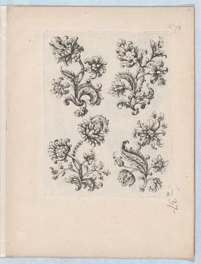 سلسلة من الزخارف الزهرية الصغيرة ، اللوحة 2 ، كاليفورنيا. 1670-85. ، كاليفورنيا. 1670-85. بواسطة بول أندرويت دو سيرسو
