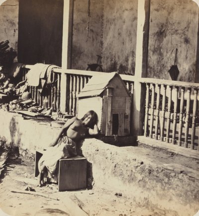 كلب جارفل (مارتينيك) بواسطة Paul Emile Miot