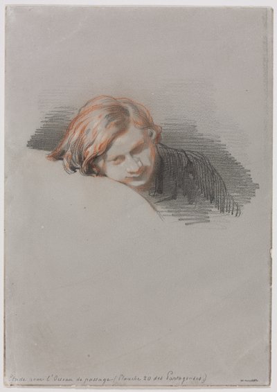 رئيس دراسة شاب لـ LOiseau de passage ، 1853. بواسطة بول جافارني