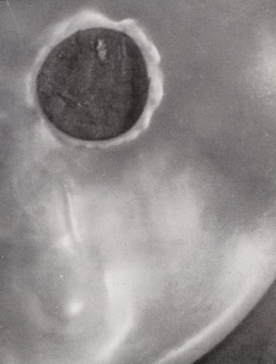 ثقب في زر قميص (صورة بالأبيض والأسود) بواسطة بول هينينج