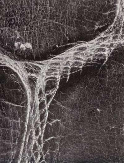 حقيبة يد جلدية (صورة فوتوغرافية ثنائية اللون أو أبيض) بواسطة بول هينينج