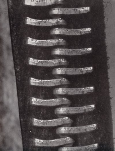 قفل بسحّاب (صورة فوتوغرافية ثنائية اللون) بواسطة بول هينينج