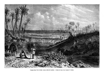 المناظر الطبيعية في جزيرة كوبا ، 1859 بواسطة بول هويت