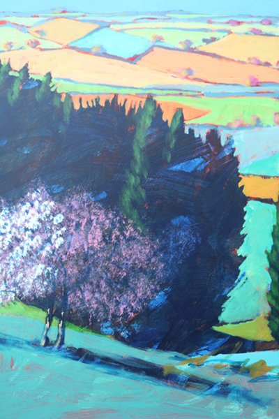 Teme Valley blossom close up 1 (acrylic on board) بواسطة بول بويس