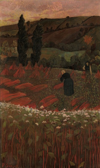 حصاد الحنطة السوداء 1899. بواسطة بول سيروسييه