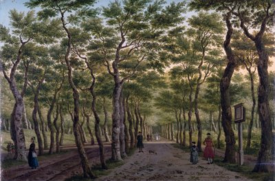 Herepad في Haagse Bos بواسطة بول كونستانتين لافارج