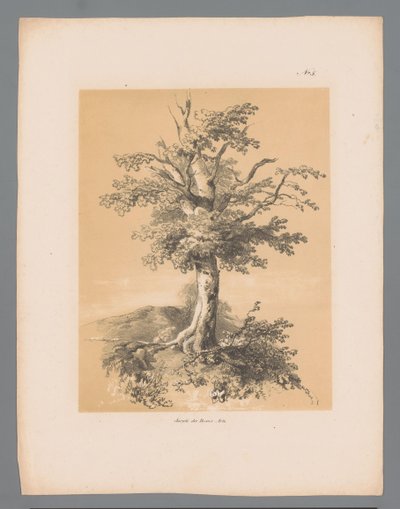 فقاعة وجوه خلابة لبولوس لوترز (عنوان المسلسل) Etrennes pittoresques pour 1839 ، بواسطة Lauters (عنوان السلسلة) بواسطة باولوس لوترز