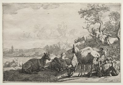 الراعي ، 1644. بواسطة بول بوتر