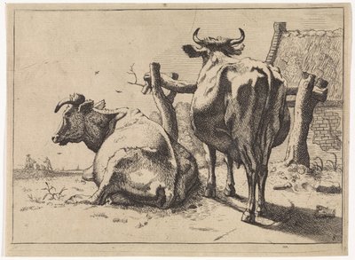 اثنين من الأبقار ينظر إليها من خلف Het Bullenboek (عنوان المسلسل) بواسطة مجهول