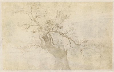 دراسة شجرة معقودة بواسطة Paulus Willemsz. van Vianen