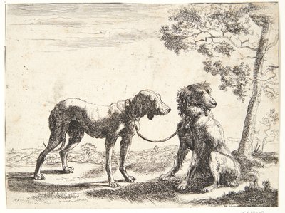كلبان مرتبطان ببعضهما البعض بواسطة Paulus van Hillegaert (II)
