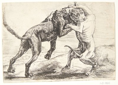 كلبان يتقاتلان بواسطة Paulus van Hillegaert (II)