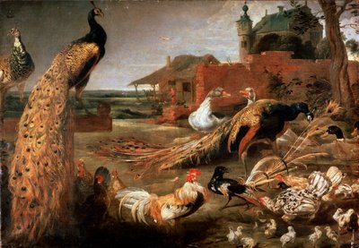 "الغراب في آباء الطاووس" ، 1615-1690 بواسطة باول دي فوس