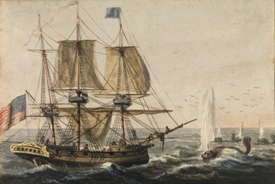 تجديد مخزن السفينة مع سمك القد قبالة ساحل نيوفاوندلاند ، 1811-كاليفورنيا. 1813. بواسطة بافل بتروفيتش سفينين