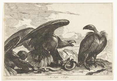 نسر ونسر مع ثعبان 1. des Aigles 2. Griffon (العنوان على الكائن) طيور من حديقة حيوانات فرساي (عنوان السلسلة) بواسطة بيتر بويل (منسوب إلى)