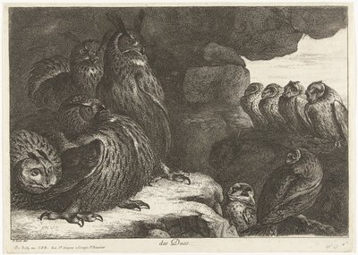 البوم في الكهف des Ducs (العنوان على الكائن) طيور من حديقة حيوانات فرساي (عنوان السلسلة) بواسطة بيتر بويل (منسوب إلى)