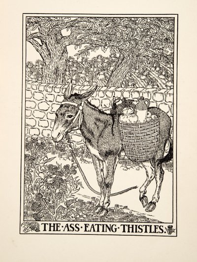 الحمار أكل الشوك ، من مائة خرافة إيسوب ، حانة 1903 بواسطة Percy J. Billingshurst