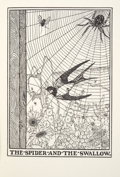 العنكبوت والابتلاع ، من Fontaine Fables ، حانة. 1905 بواسطة Percy J. Billingshurst