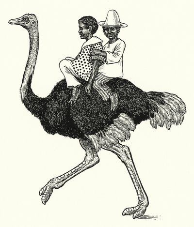 ركوب النعام (الليثو) بواسطة بيرسي جيمس بيلينجهيرست