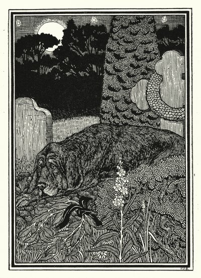 كلب مونتارجيس (ليثو) بواسطة بيرسي جيمس بيلينجهيرست