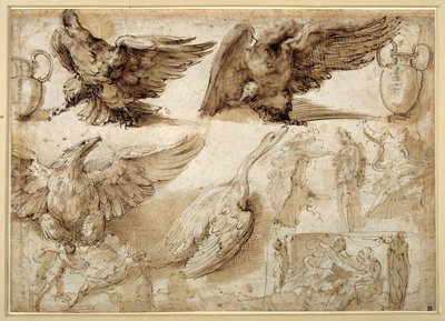 Studies of an eagle, a goose, a jug, a jar and of human figures including two for a Rape of Lucretia (pen & brown ink with brown wash on white wire-laid paper) بواسطة Perino del Vaga