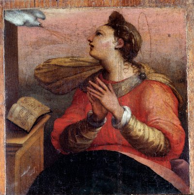 عذراء البشارة ، التفاصيل (زيت على لوح ، حوالي 1535) بواسطة Perino del Vaga