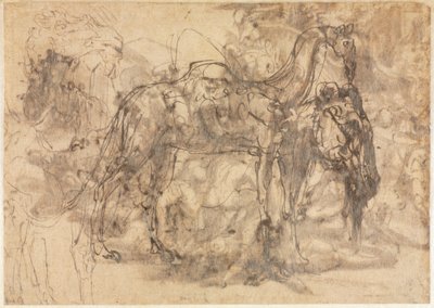 رسومات الحيوانات مقابل ، ج. 154547. بواسطة Perino del Vaga