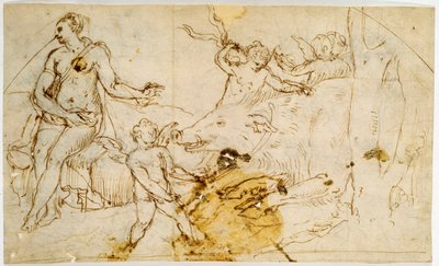 فينوس ، بوتي وخنزير بري ، c.1520-1540 بواسطة Perino del Vaga