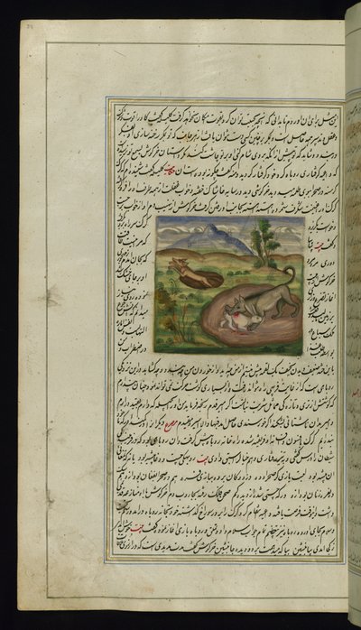 ابن آوى يأكل الأرنب من أضواء كانوب ، 1847 بواسطة المدرسة الفارسية