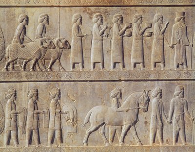تفاصيل إفريز بارز على الدرج الشرقي إلى أبادانا (قاعة الجمهور) يصور مندوبين من الأراضي الخاضعة للإمبراطورية حاملين هدايا فخمة لمراسم ، الفترة الأخمينية ، حوالي 515 قبل الميلاد (الحجر الجيري) بواسطة المدرسة الفارسية