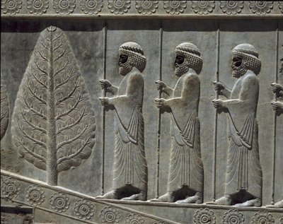 حراس سوسة. نقوش السلم الشرقي لأبادانا ، القرن السادس قبل الميلاد بواسطة المدرسة الفارسية