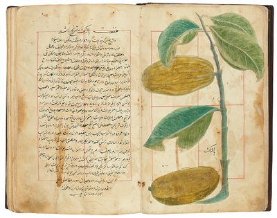 Hassan Bin Baqir Bin Jarrah: Gulzar Al-Rayahin, Qajar Iran بواسطة المدرسة الفارسية