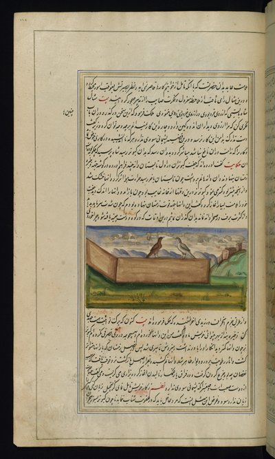 حمامان ومورد حبوب من Lights of Canopus بواسطة المدرسة الفارسية