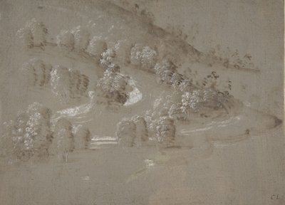 وجه أفقي ، ظهر أفقي ، 1489-90. بواسطة بيروجينو