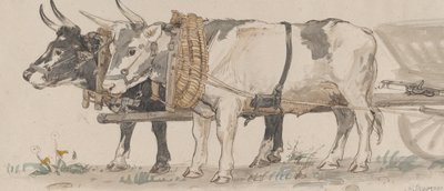 ثيران يسحبان عربة ، 1874. بواسطة بيتر كريستيان ثامسن سكوفجارد