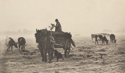 صباح فاترة ، 1890-1891 ، طُبع عام 1893. بواسطة بيتر هنري ايمرسون