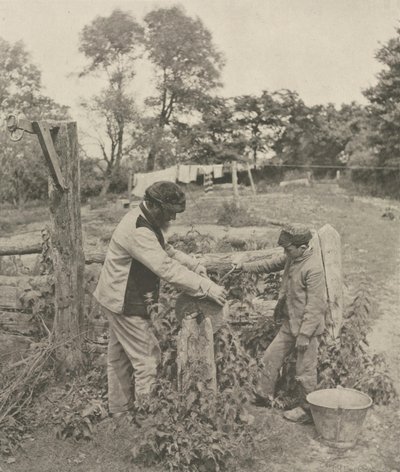 في Grindstone - مزرعة سوفولك ، 1888. بواسطة بيتر هنري ايمرسون