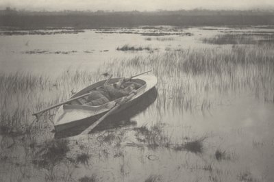 مدفعي يعمل حتى الطائر، 1886 (صورة فوتوغرافية) بواسطة بيتر هنري ايمرسون