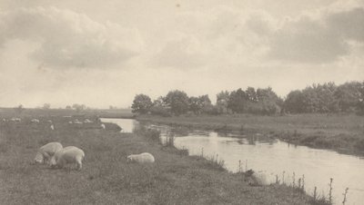 على نهر بوري، 1886 (صورة) بواسطة بيتر هنري ايمرسون