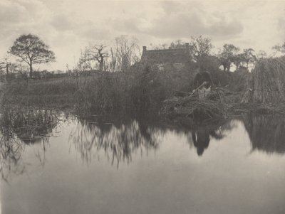 كوانتينج جلادون، 1886 (صورة) بواسطة بيتر هنري ايمرسون