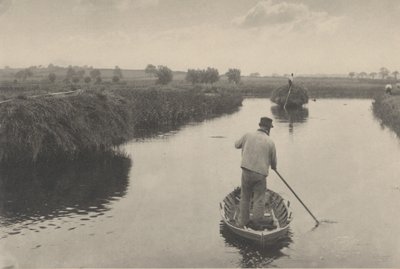 تحديد كمية قش المستنقعات، 1886 (صورة) بواسطة بيتر هنري ايمرسون