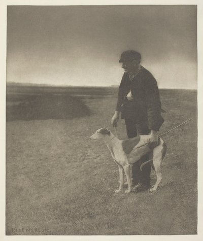 The Poacher - A Hare in View (سوفولك) بواسطة بيتر هنري ايمرسون