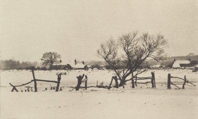 الأهوار الثلجية ، 1890-1891 ، طبعت عام 1893. بواسطة بيتر هنري ايمرسون