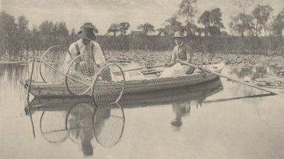 ضبط القوس الشبكة بواسطة Peter Henry Emerson and T.F. Goodall